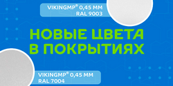 VikingMP в цветах 7004 и 9003!